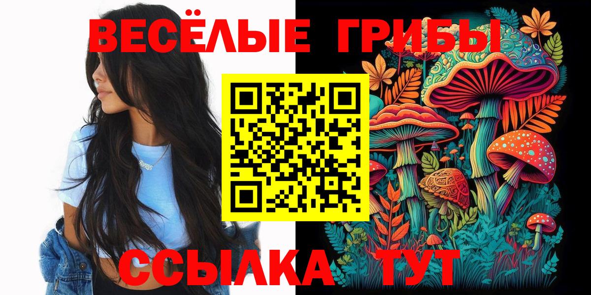 Ирбит  цена   Вход с VPN  Псилоцибиновые грибы MAGIC MUSHROOMS 