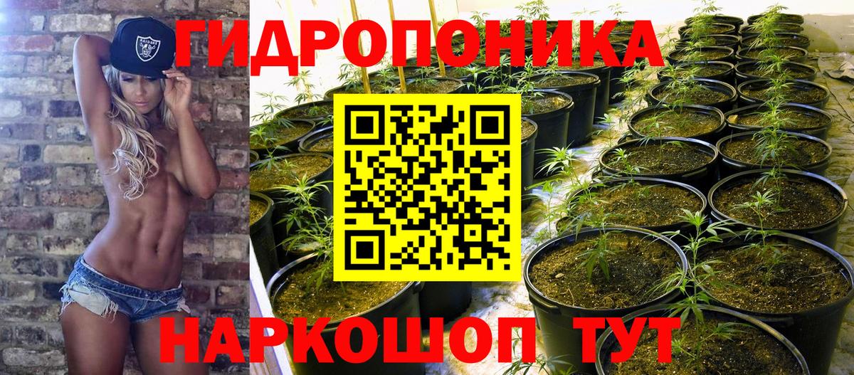 Канабис LSD WEED  Бошки марихуана AK-47  Ирбит  Каннабис Amnesia  Вход с VPN 